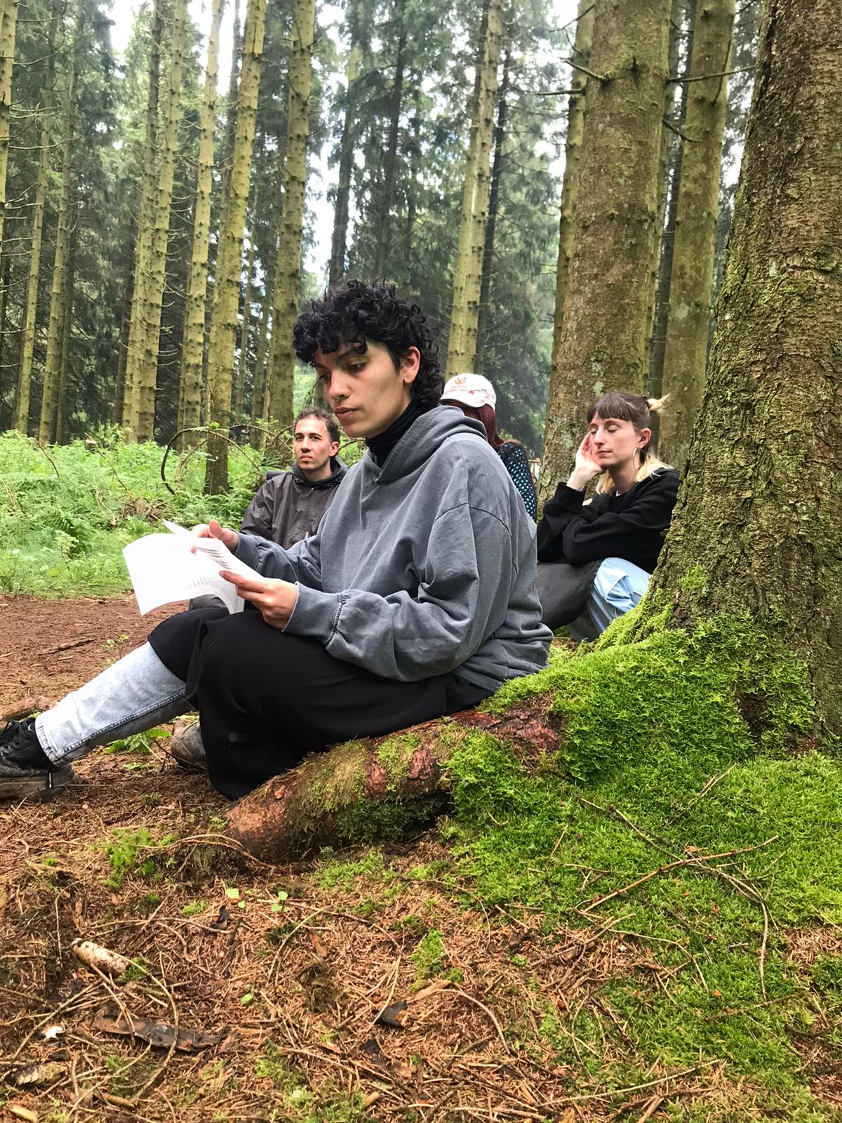 Liaisons végétales 1