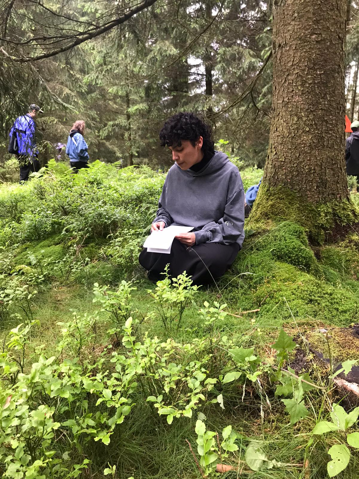 Liaisons végétales 4